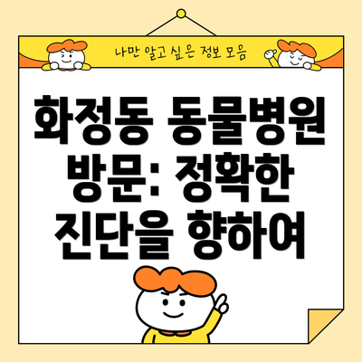 화정동 동물병원 방문: 정확한 진단을 향하여