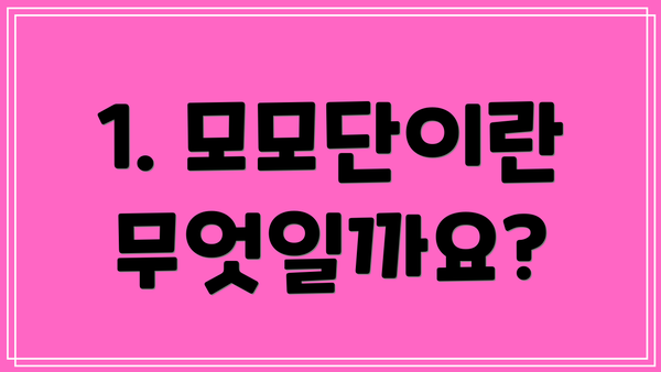 1. 모모단이란 무엇일까요?