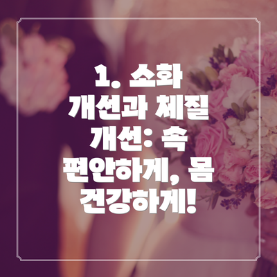 1. 소화 개선과 체질 개선: 속 편안하게, 몸 건강하게!