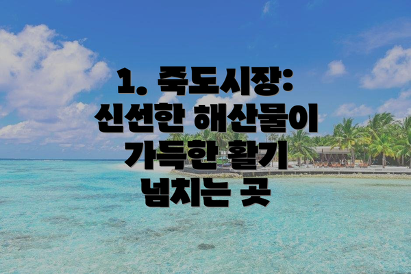 1. 죽도시장: 신선한 해산물이 가득한 활기 넘치는 곳