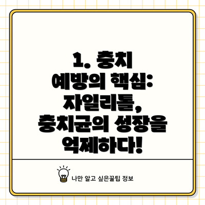 1. 충치 예방의 핵심: 자일리톨, 충치균의 성장을 억제하다!