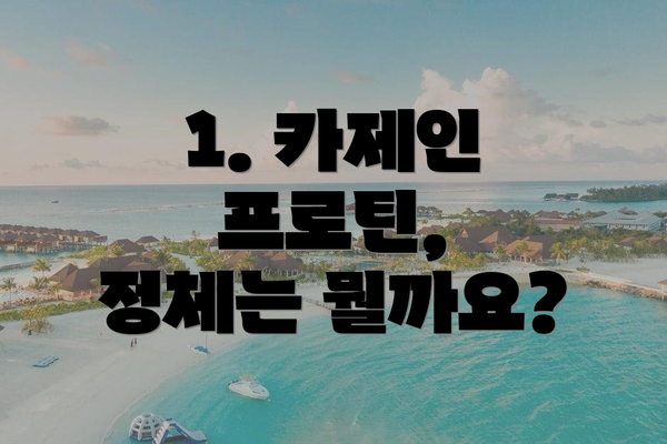 1. 카제인 프로틴,  정체는 뭘까요?