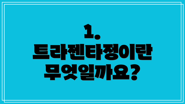 1. 트라젠타정이란 무엇일까요?