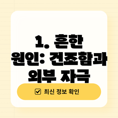 1. 흔한 원인: 건조함과 외부 자극