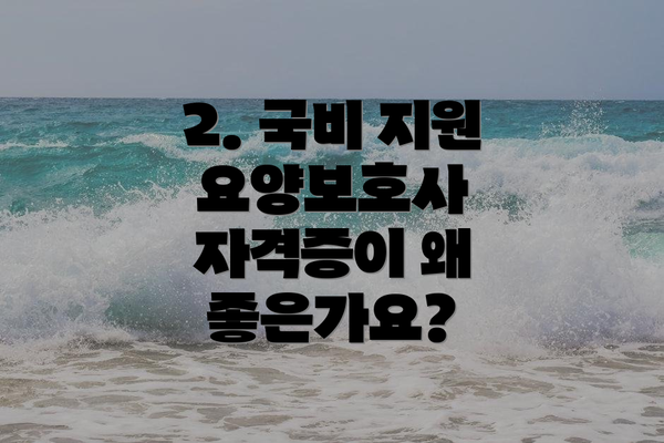2. 국비 지원 요양보호사 자격증이 왜 좋은가요?