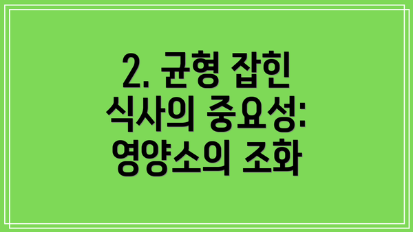 2. 균형 잡힌 식사의 중요성: 영양소의 조화
