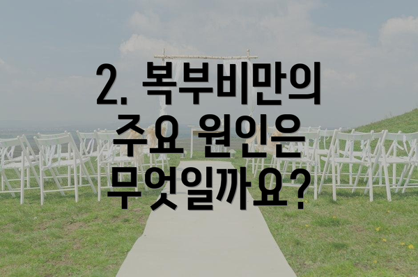 2. 복부비만의 주요 원인은 무엇일까요?