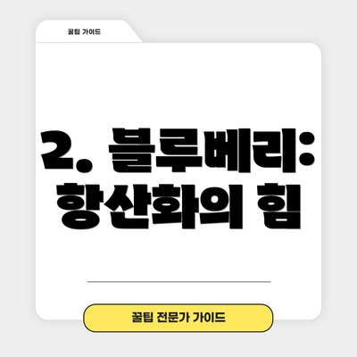 2. 블루베리: 항산화의 힘