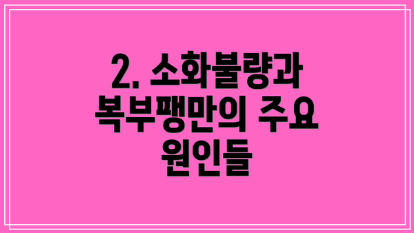 2. 소화불량과 복부팽만의 주요 원인들