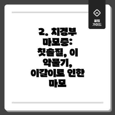 2. 치경부 마모증: 칫솔질, 이 악물기, 이갈이로 인한 마모