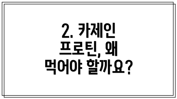 2. 카제인 프로틴, 왜 먹어야 할까요?