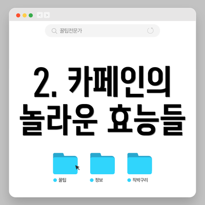 2. 카페인의 놀라운 효능들