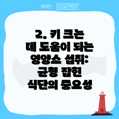 2. 키 크는 데 도움이 되는 영양소 섭취: 균형 잡힌 식단의 중요성