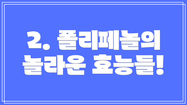 2. 폴리페놀의 놀라운 효능들!
