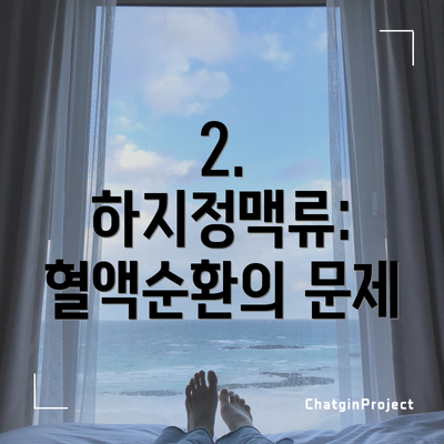 2. 하지정맥류: 혈액순환의 문제