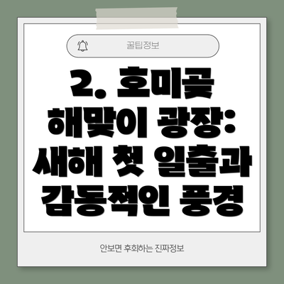 2. 호미곶 해맞이 광장: 새해 첫 일출과 감동적인 풍경
