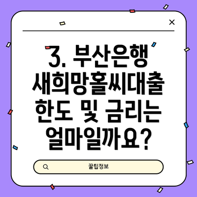 3. 부산은행 새희망홀씨대출 한도 및 금리는 얼마일까요?