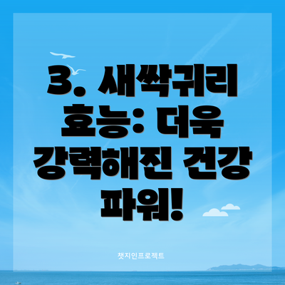3. 새싹귀리 효능: 더욱 강력해진 건강 파워!