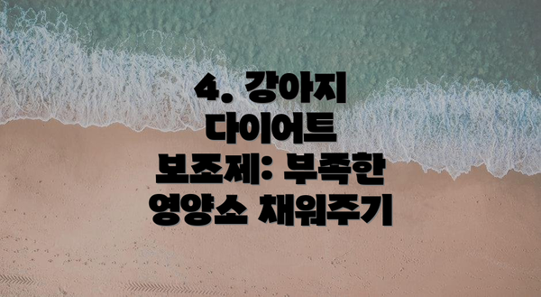 4. 강아지 다이어트 보조제: 부족한 영양소 채워주기