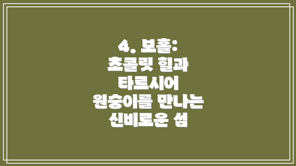 4. 보홀: 초콜릿 힐과 타르시어 원숭이를 만나는 신비로운 섬