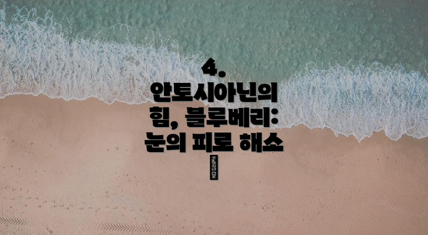4. 안토시아닌의 힘, 블루베리: 눈의 피로 해소 🫐