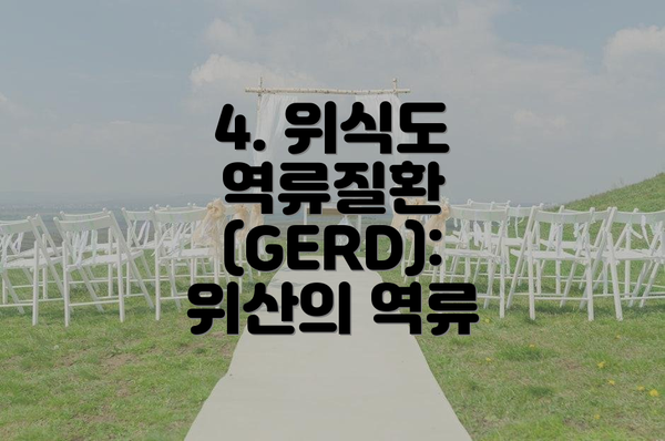 4. 위식도 역류질환 (GERD): 위산의 역류