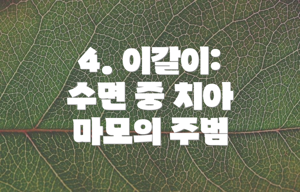 4. 이갈이: 수면 중 치아 마모의 주범