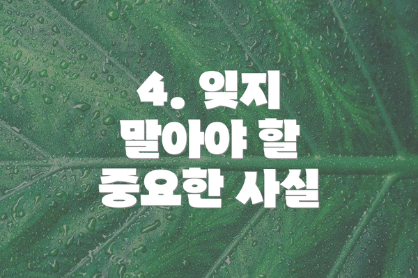 4. 잊지 말아야 할 중요한 사실