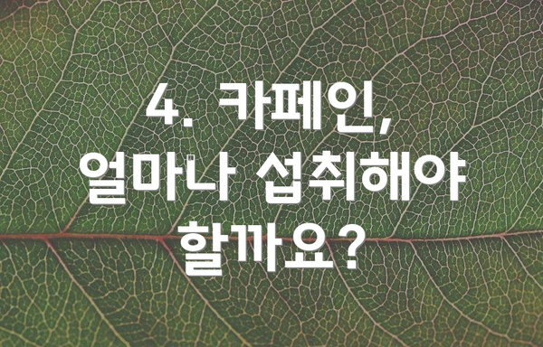 4. 카페인, 얼마나 섭취해야 할까요?