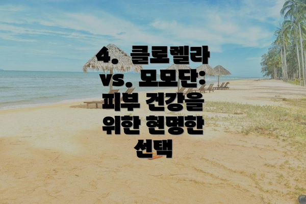 4. 클로렐라 vs. 모모단: 피부 건강을 위한 현명한 선택