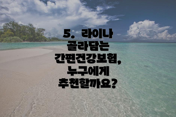 5. 라이나 골라담는 간편건강보험, 누구에게 추천할까요?
