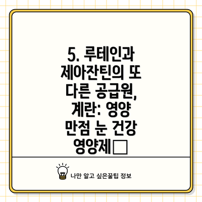 5. 루테인과 제아잔틴의 또 다른 공급원, 계란: 영양 만점 눈 건강 영양제🥚