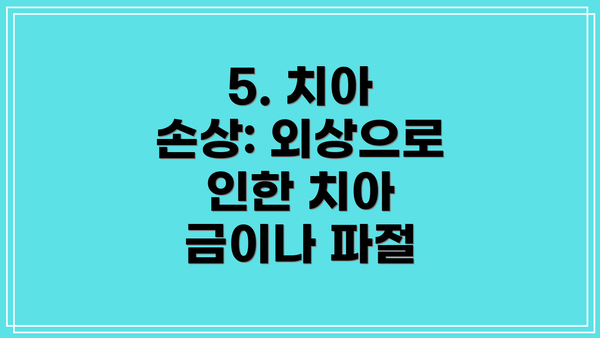 5. 치아 손상: 외상으로 인한 치아 금이나 파절