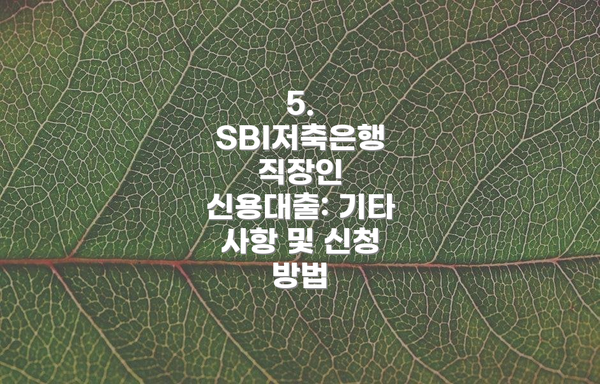 5. SBI저축은행 직장인 신용대출: 기타 사항 및 신청 방법