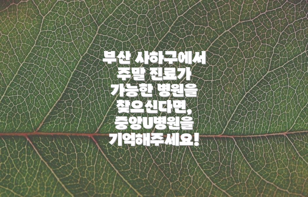 부산 사하구에서 주말 진료가 가능한 병원을 찾으신다면,  중앙U병원을 기억해주세요!