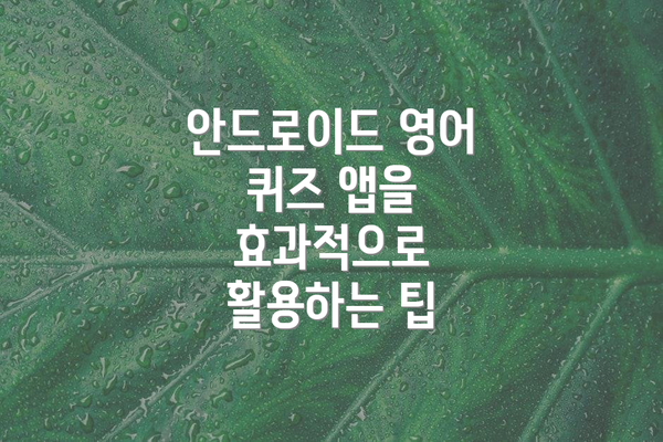 안드로이드 영어 퀴즈 앱을 효과적으로 활용하는 팁