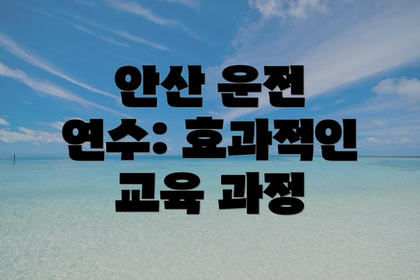 안산 운전 연수: 효과적인 교육 과정