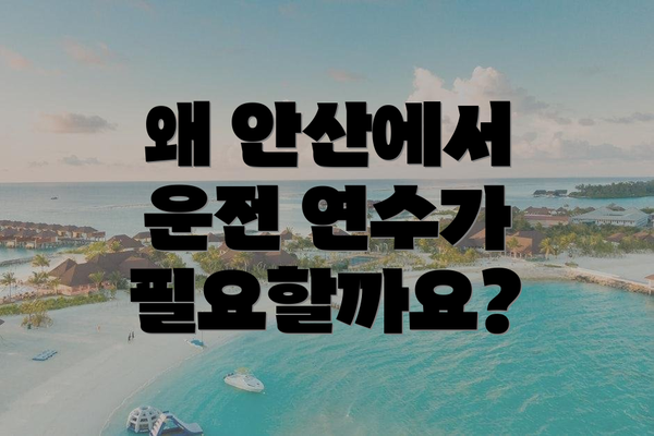 왜 안산에서 운전 연수가 필요할까요?