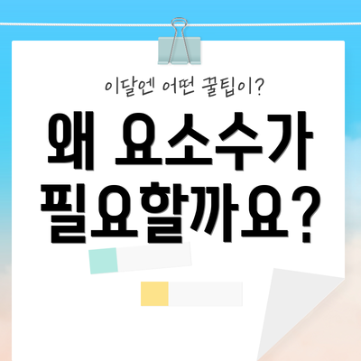 왜 요소수가 필요할까요?