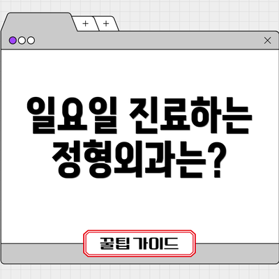 일요일 진료하는 정형외과는?