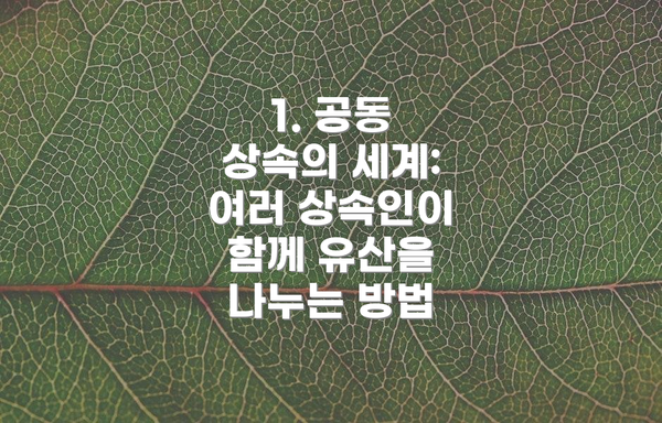 1. 공동 상속의 세계: 여러 상속인이 함께 유산을 나누는 방법