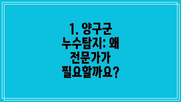 1. 양구군 누수탐지: 왜 전문가가 필요할까요?