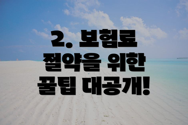 2. 보험료 절약을 위한 꿀팁 대공개!
