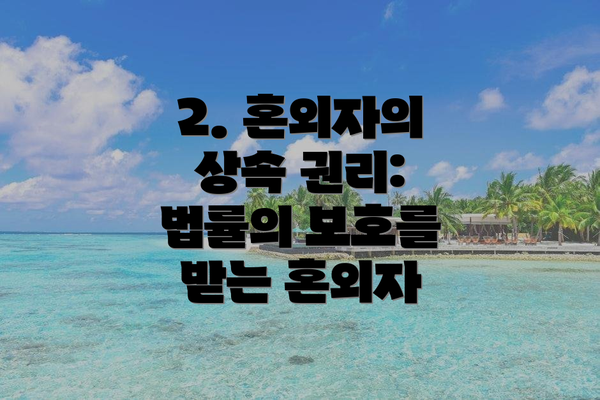 2. 혼외자의 상속 권리:  법률의 보호를 받는 혼외자