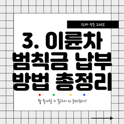 3. 이륜차 범칙금 납부 방법 총정리