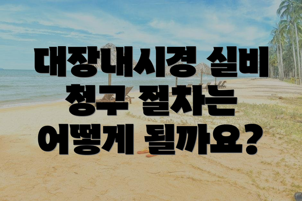 대장내시경 실비 청구 절차는 어떻게 될까요?