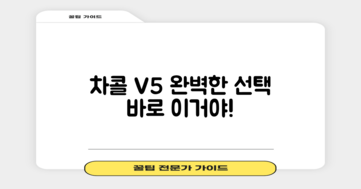 차콜그레이 V5, 완벽한 선택이 될 거예요.