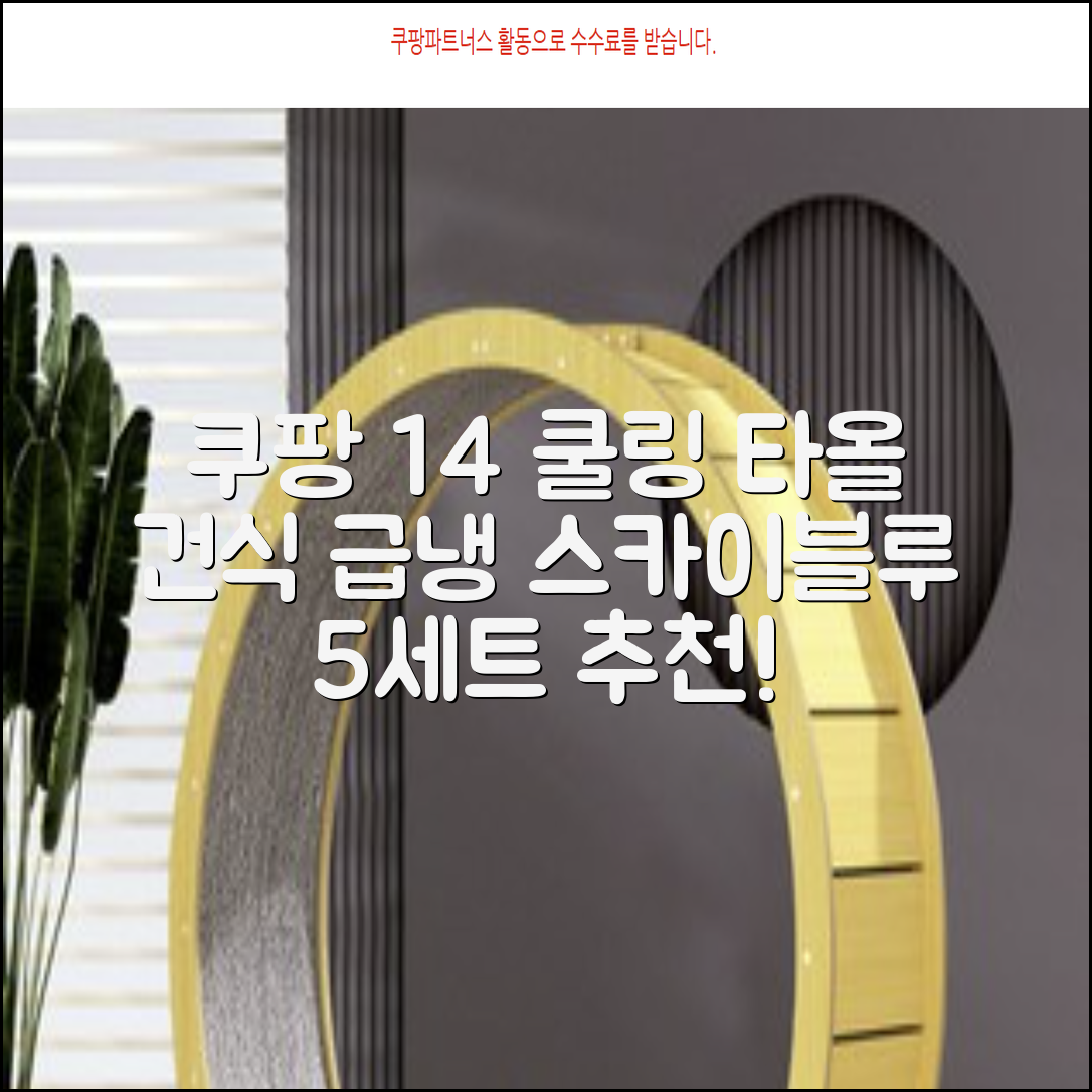 [쿠팡입점 1+4 이벤트] 아이스 쿨링 스포츠타올 건식 급냉 타올, 5세트, 스카이블루 추천 리뷰