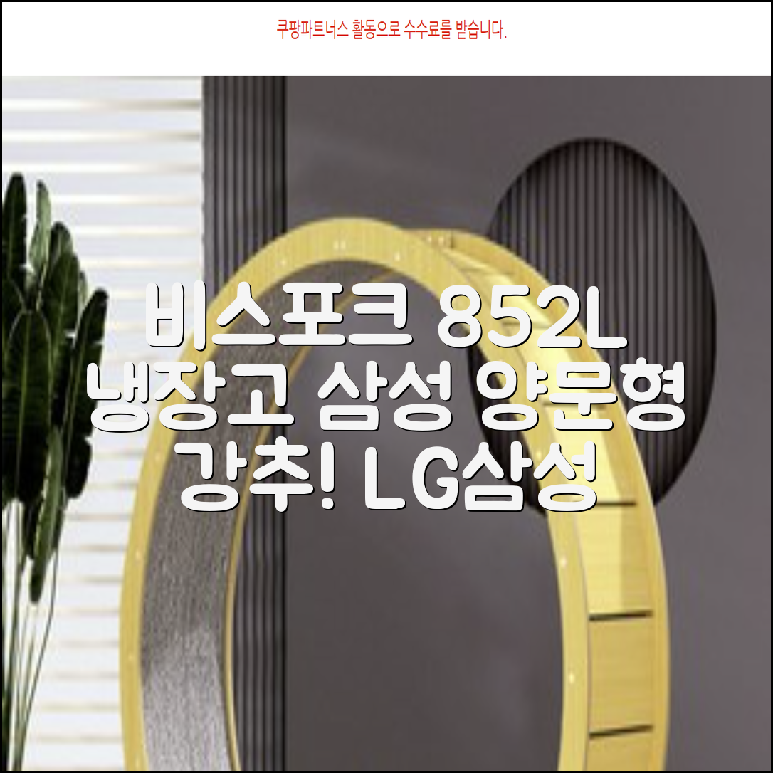 [색상선택형] 삼성전자 비스포크 852L 2도어 양문형 냉장고 방문설치, RS84DB5002CW 추천 리뷰
