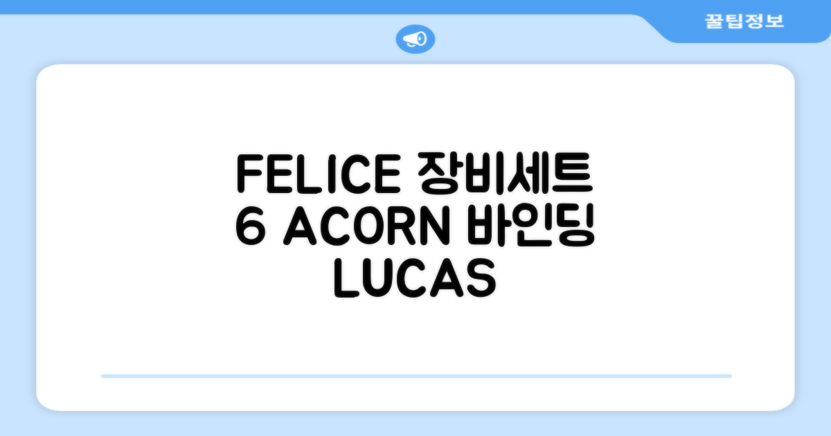 FELICE 장비세트6 ACORN데크 바인딩 LUCAS부츠, WESTSIDE 레드154+바인딩M, 1개 추천 리뷰